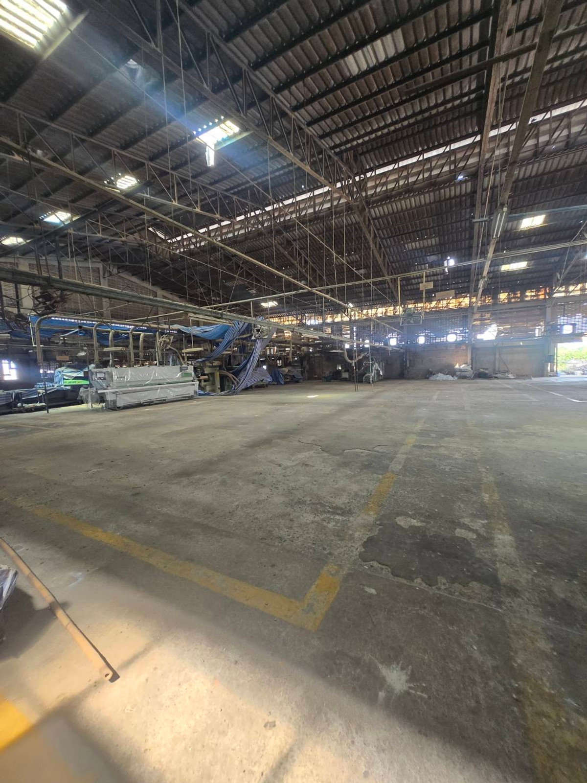 ขายที่ดินนนทบุรี บางใหญ่ บางบัวทอง : !!HOT DEAL!!ขายที่ดินทำเลทอง ที่ดินไทรน้อย พร้อมโรงงาน ขนาด 7 ไร่  3 งาน 49 ตร.ว. มีใบประกอบจัดตั้งโรงงาน  | อ.ไทรน้อย จ.นนทบุรี | สนใจโทร 095-819-5559 