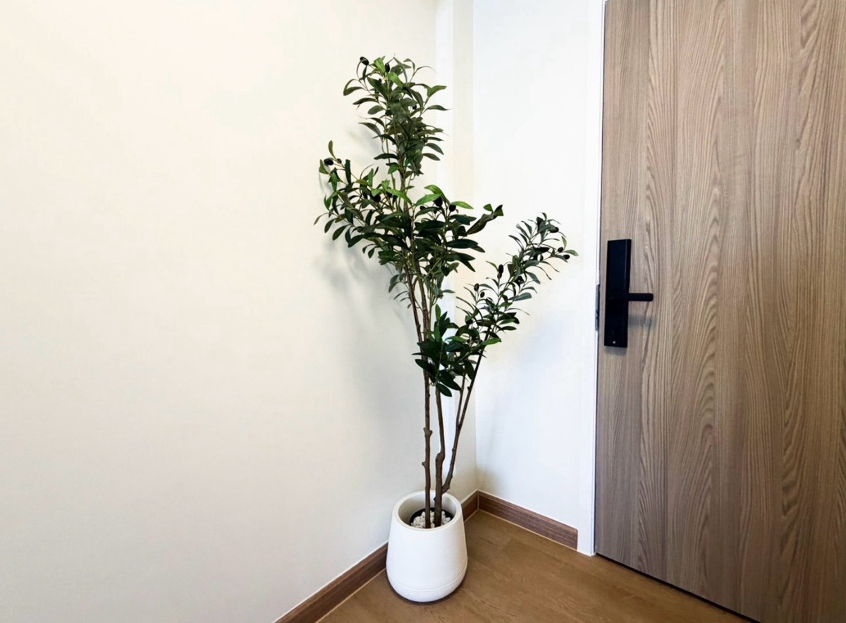 ขายคอนโดลาดพร้าว101 แฮปปี้แลนด์ : 🚦คอนโดลาดพร้าว130 ราคาล้านต้นๆ 32 ตร.ม. กั้นห้อง พร้อมอยู่