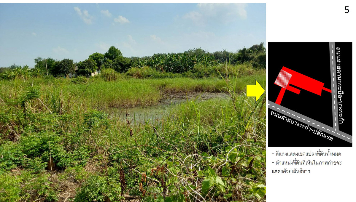 ขายที่ดินพิษณุโลก : ที่ดินบางระกำ พิษณุโลก 25-0-95 ไร่ ติดถนนหลวงถึง 2 ด้าน (ถนน 1065, 1281)  โอกาสทองที่ไม่ควรพลาด!🚀