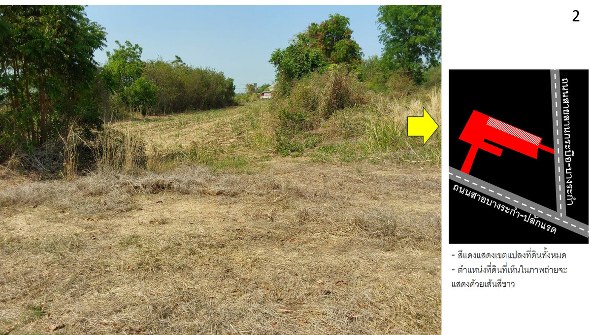 ขายที่ดินพิษณุโลก : ที่ดินบางระกำ พิษณุโลก 25-0-95 ไร่ ติดถนนหลวงถึง 2 ด้าน (ถนน 1065, 1281)  โอกาสทองที่ไม่ควรพลาด!🚀