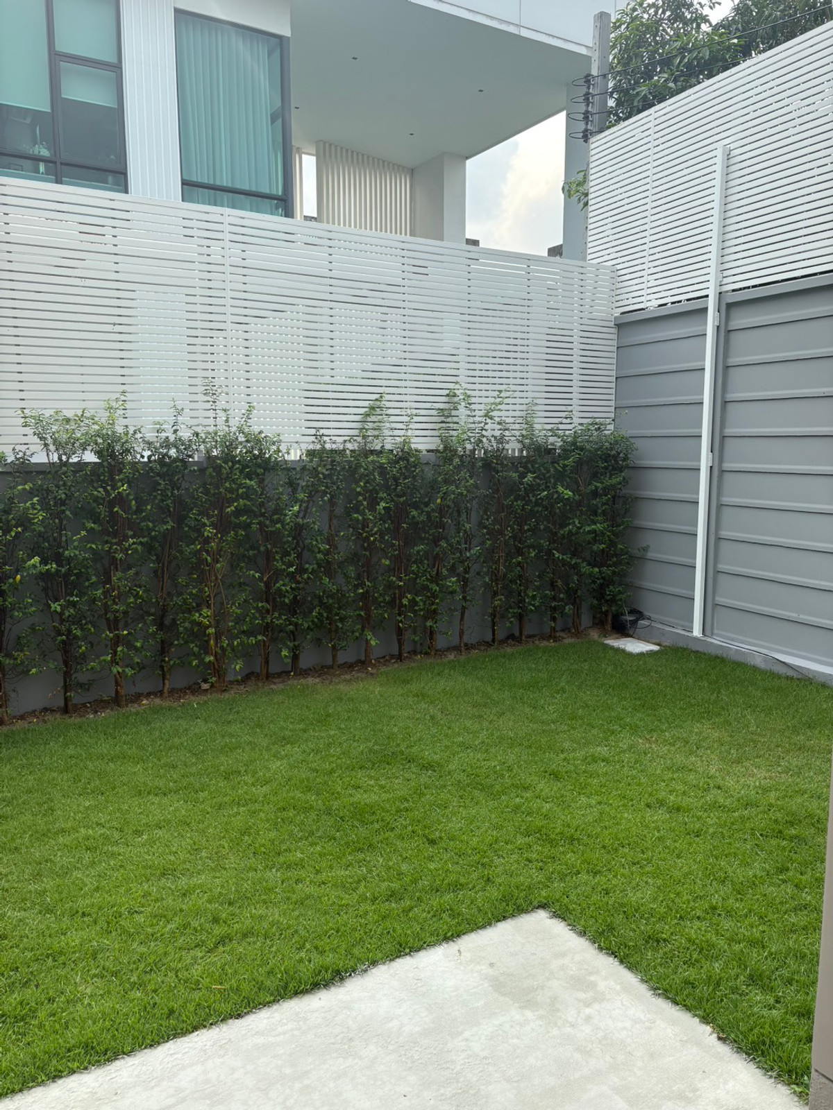 For RentHousePathum Thani,Rangsit, Thammasat : Centro Vibhavadi / 4 bedrooms (for rent), Centro Vibhavadi / 4 Bedrooms (FOR RENT) BALL263