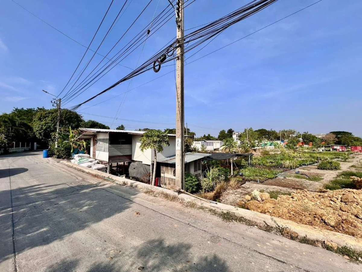 ขายที่ดินนนทบุรี บางใหญ่ บางบัวทอง : ขายที่ดินพร้อมสิ่งปลูกสร้าง ทำเลทอง 2-2-5.5 ตร.ว. ติดถนนกาญจนาภิเษก อ.บางใหญ่ จ.นนทบุรี หลังโรงถ่ายกันตนา บางใหญ่