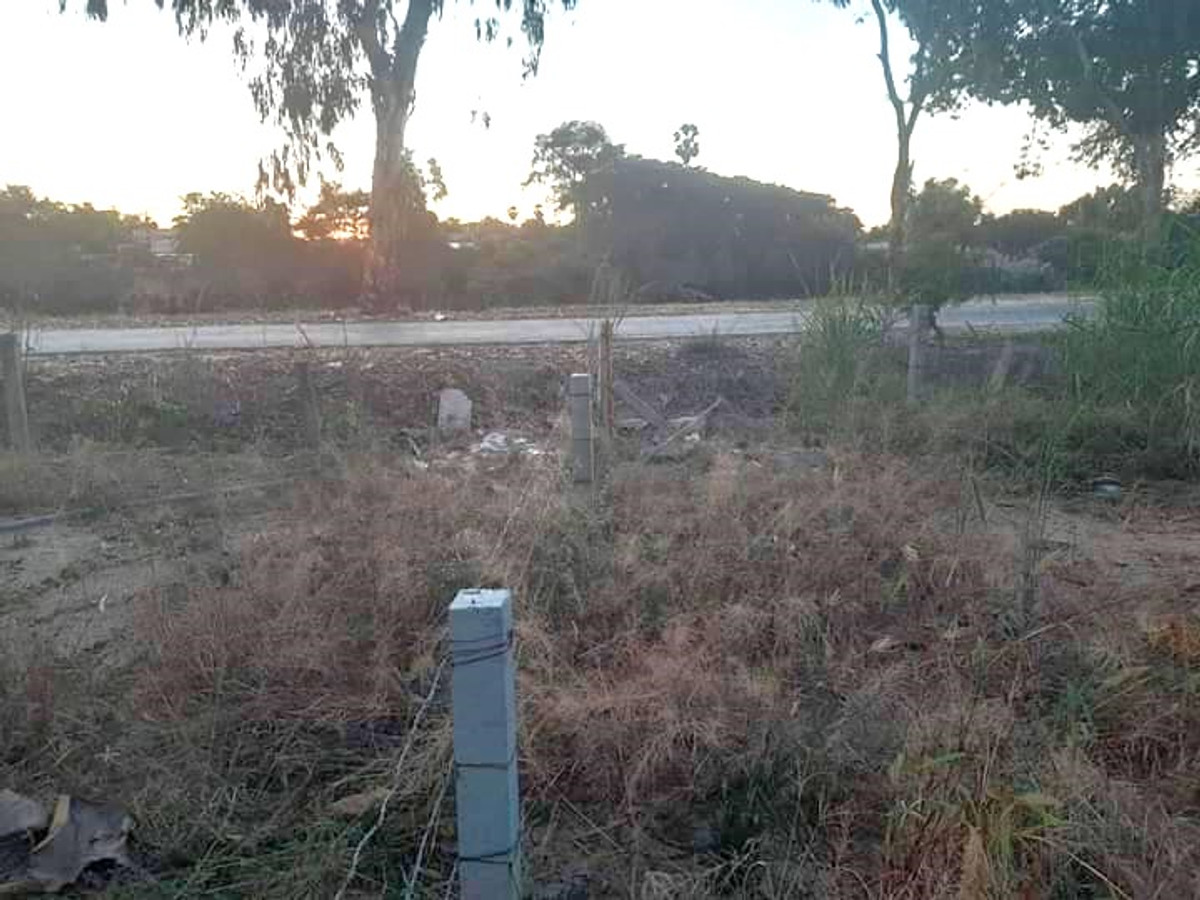 ขายที่ดินพิษณุโลก : ที่ดินสวยริมแม่น้ำน่าน จังหวัดพิษณุโลก *ลดราคาพิเศษ*