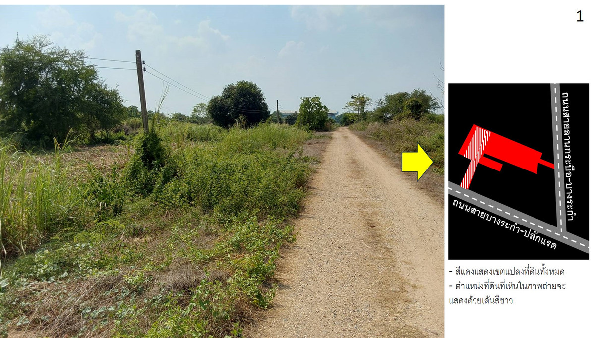 ขายที่ดินพิษณุโลก : ที่ดินบางระกำ พิษณุโลก 25-0-95 ไร่ ติดถนนหลวงถึง 2 ด้าน (ถนน 1065, 1281)  โอกาสทองที่ไม่ควรพลาด!🚀