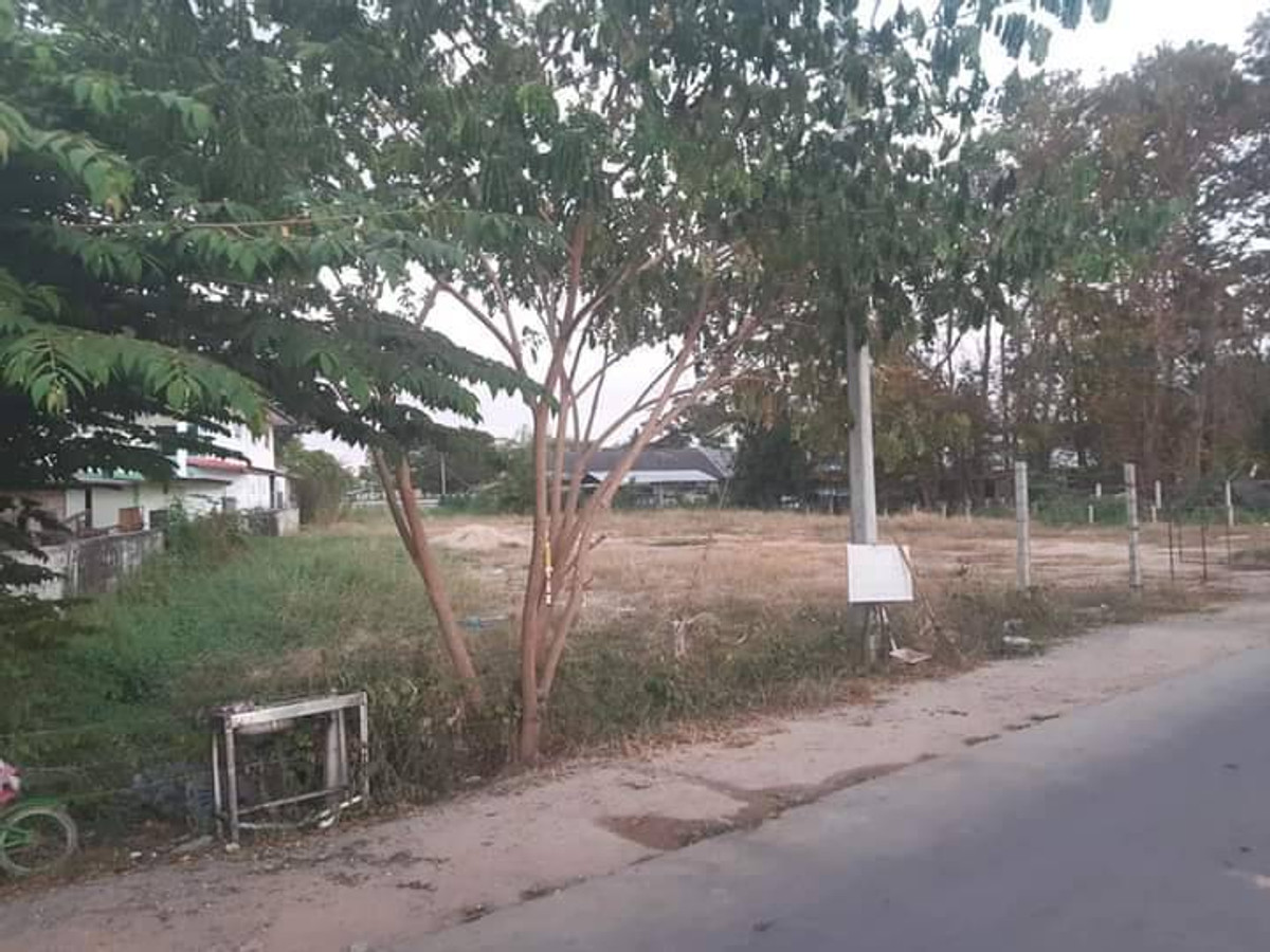 ขายที่ดินพิษณุโลก : ที่ดินสวยริมแม่น้ำน่าน จังหวัดพิษณุโลก *ลดราคาพิเศษ*