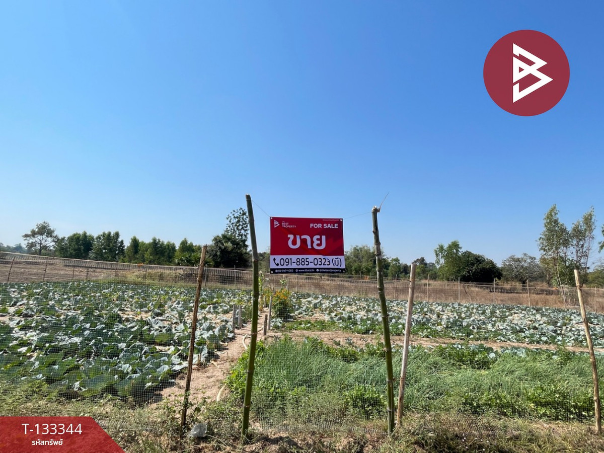 ขายที่ดินอุบลราชธานี : ขายที่ดิน เนื้อที่ 3 ไร่ 2 งาน 72.5 ตารางวา อ.ม่วงสามสิบ อุบลราชธานี ติดถนน