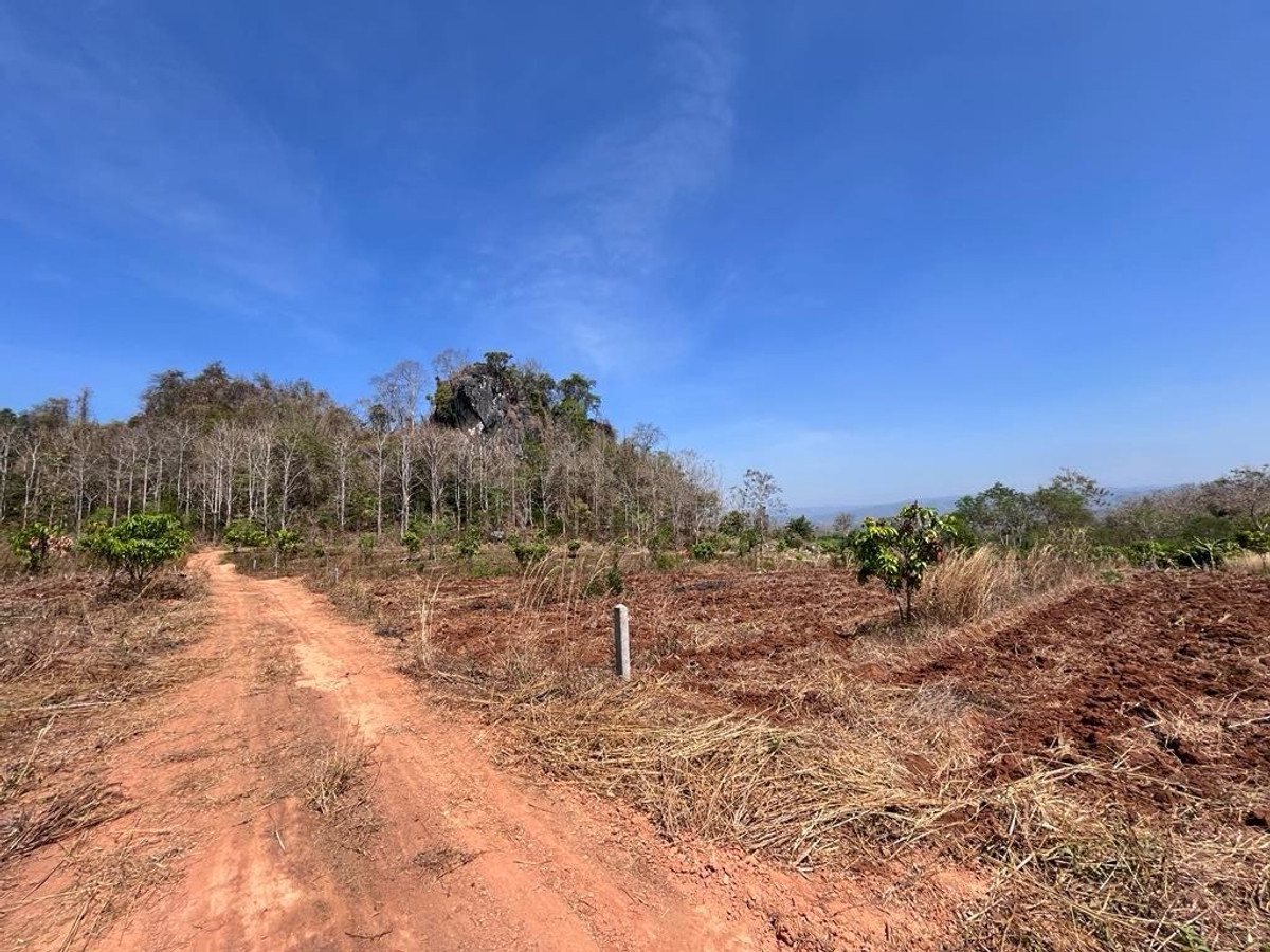 For SaleLandKanchanaburi : 2 plots of land for sale, 4 rai