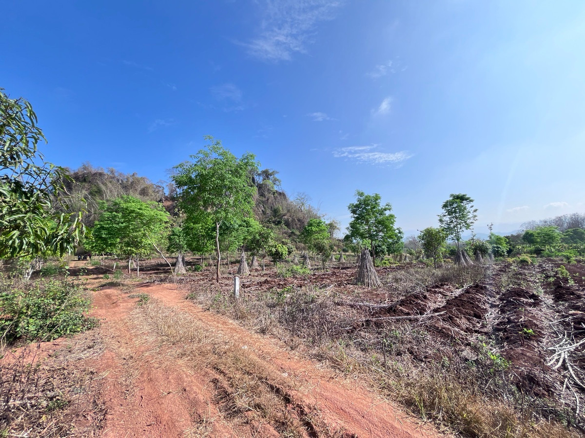 For SaleLandKanchanaburi : 2 plots of land for sale, 4 rai