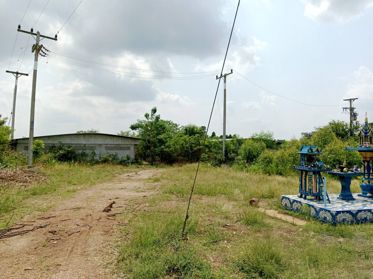 ขายที่ดินสระแก้ว : BCN 0406 : นอกโครงการสระแก้ว