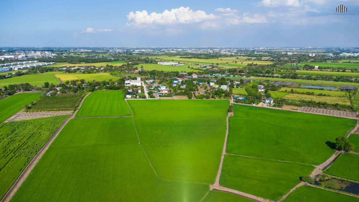 ขายที่ดินปทุมธานี รังสิต ธรรมศาสตร์ : ที่ดิน 20 ไร่ ใกล้ถนนปทุม-บางเลน 1 กม. ขายที่ดินลาดหลุมแก้ว เลียบคลองระแหง เหมาะลงทุนพัฒนา