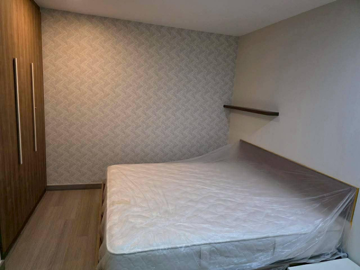 ให้เช่าคอนโดสุขุมวิท อโศก ทองหล่อ : ให้เช่า Tree condo สุขุมวิท42 (59 ตร.ม.) 2 นอน 1 น้ำ BTS เอกมัย-พระโขนง