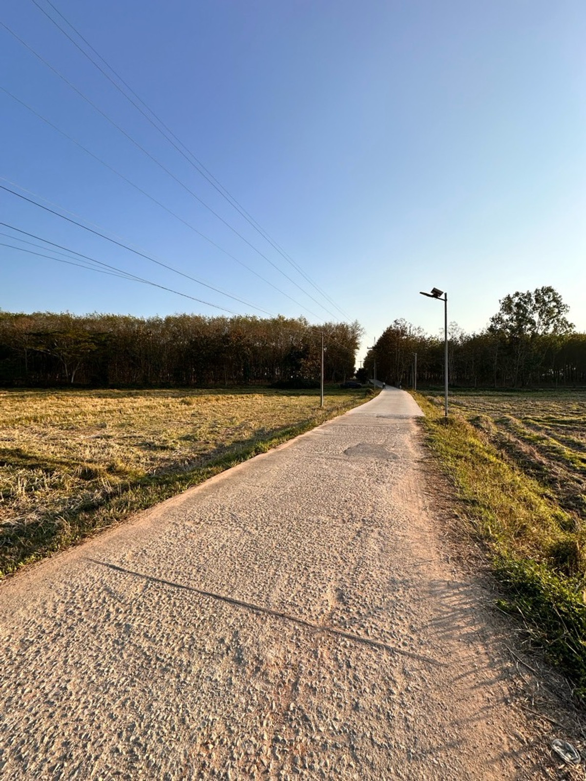 ขายที่ดินเชียงราย : ขายที่ดินเปล่า บ้านบวกปลาหนอน ตีนภูเขา วิวสวย
ตำบลเวียงห้าว อำเภอพาน