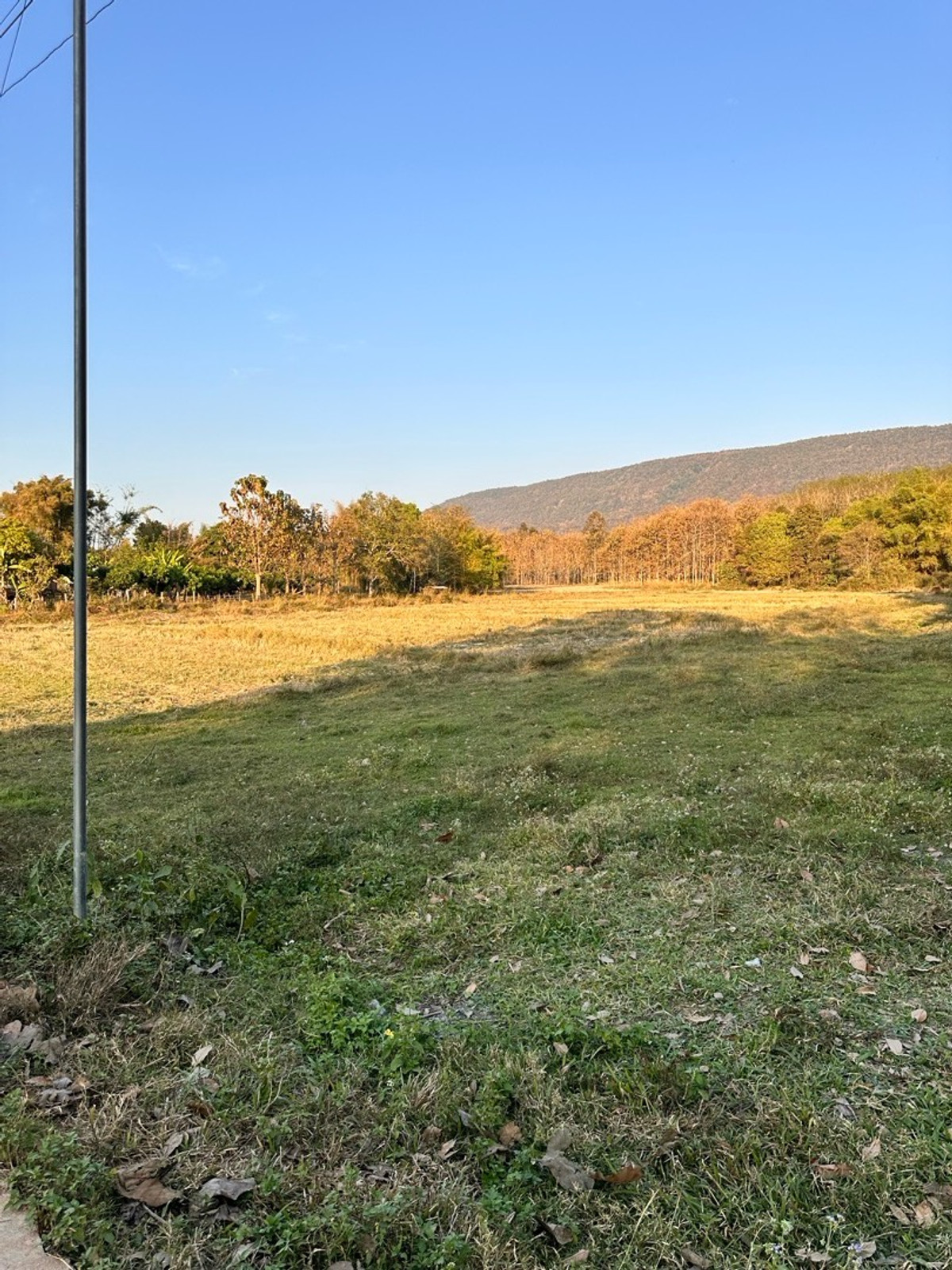 ขายที่ดินเชียงราย : ขายที่ดินเปล่า บ้านบวกปลาหนอน ตีนภูเขา วิวสวย
ตำบลเวียงห้าว อำเภอพาน