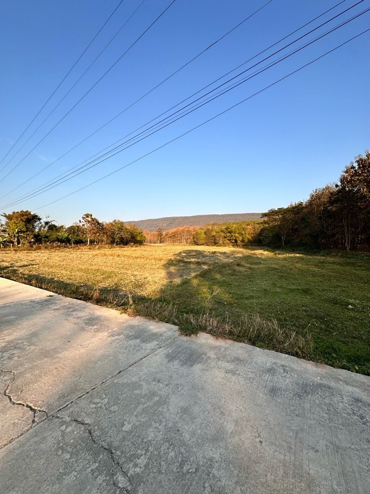 ขายที่ดินเชียงราย : ขายที่ดินเปล่า บ้านบวกปลาหนอน ตีนภูเขา วิวสวย
ตำบลเวียงห้าว อำเภอพาน