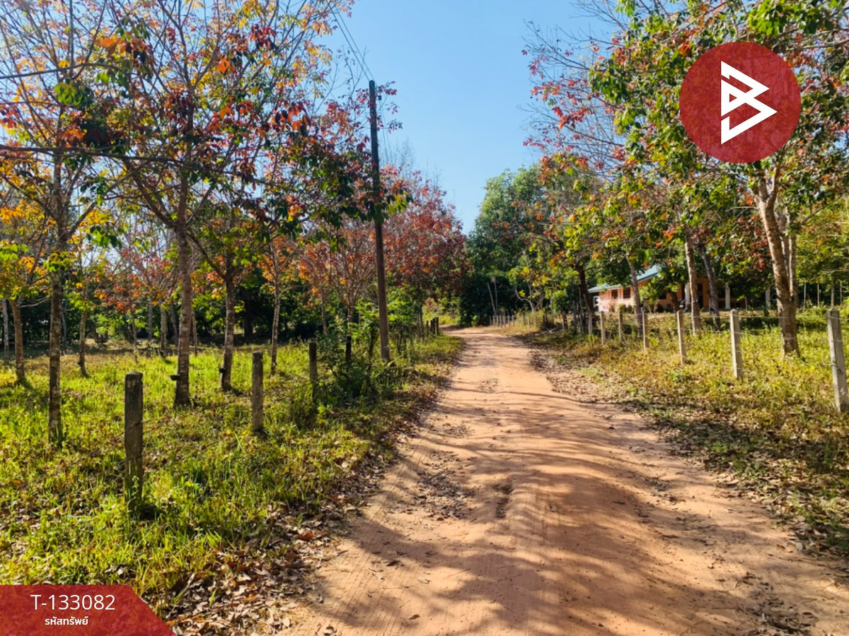 ขายที่ดินอุบลราชธานี : ขายที่ดิน เนื้อที่ 5 ไร่ 1 งาน 15 ตร.วา ดอนมดแดง อุบลราชธานี