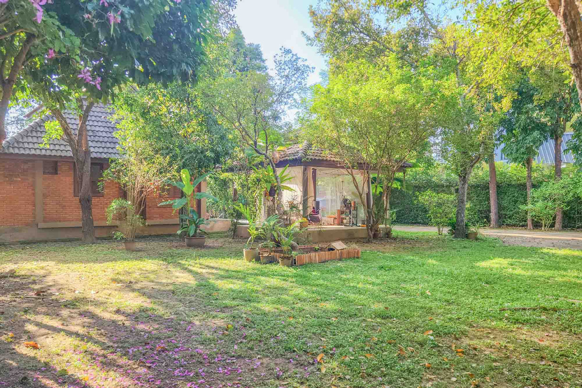 ขายบ้านเชียงใหม่ : บ้านรีสอร์ตหลายหลัง บนที่ดินขนาดใหญ่ ร่มรื่น ใกล้สนามบิน หนองควาย, เชียงใหม่