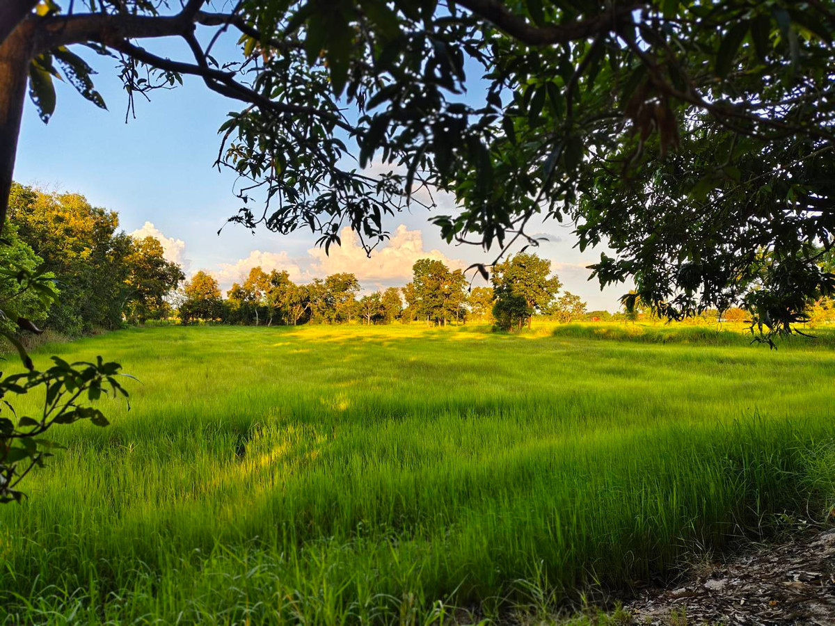 ขายที่ดินชัยภูมิ : ขายด่วนที่ดิน 18-2-84 ตร.ว. ตัวเมืองชัยภูมิ ทำเลดีเยี่ยม ลดจาก 25 เหลือ 17 ล้านบาท ลดไป 32% ถูกที่สุดในทำเลนี้