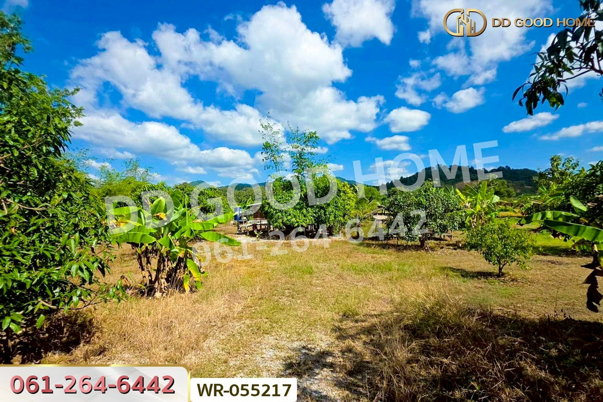 ขายที่ดินเลย : WR-055217 ที่ดินพร้อมบ้านแฝดเชียงคาน 2 ไร่ 184.5 ตร.ว. เลย ใกล้ถนนคนเดินเชียงคาน