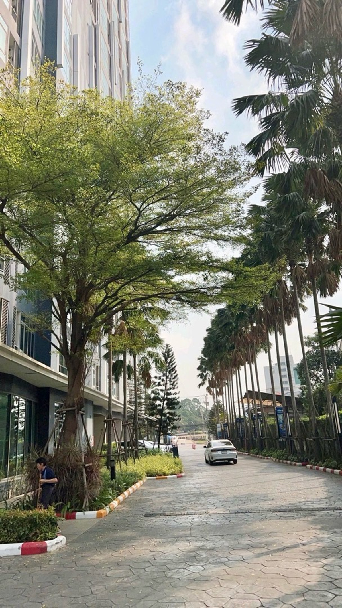 ให้เช่าคอนโดบางซื่อ วงศ์สว่าง เตาปูน : 📍โครงการ : Metro Sky Bangsue – Prachachuen 
🚝 ใกล้ : MRT บางซ่อน 500 เมตร
💵 ราคาเช่า : 16,000 บาท / เดือน