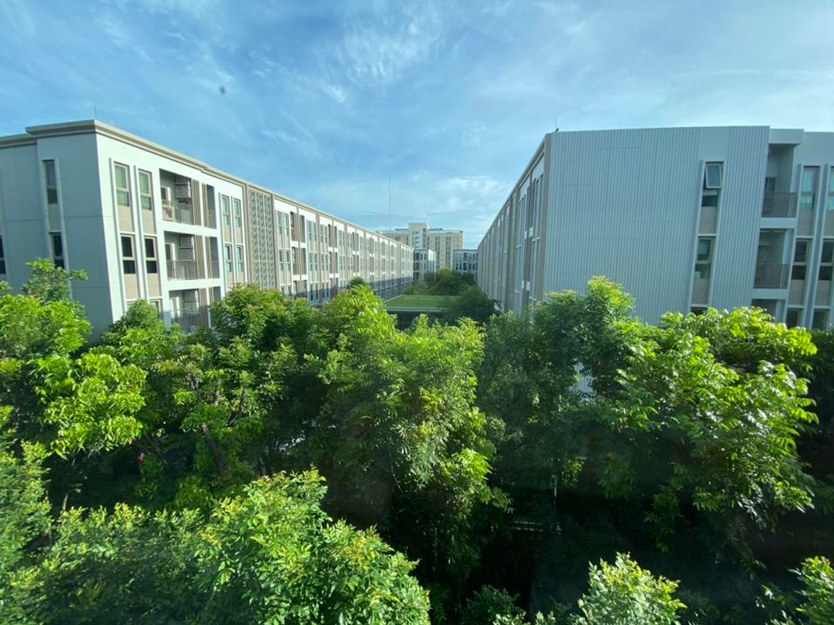 For RentCondoBang kae, Phetkasem : ⭐️ Zelle Plus Sathorn - Ratchaphruek ⭐️1 bedroom, size 33 sq m., built-in room throughout. Brand new room