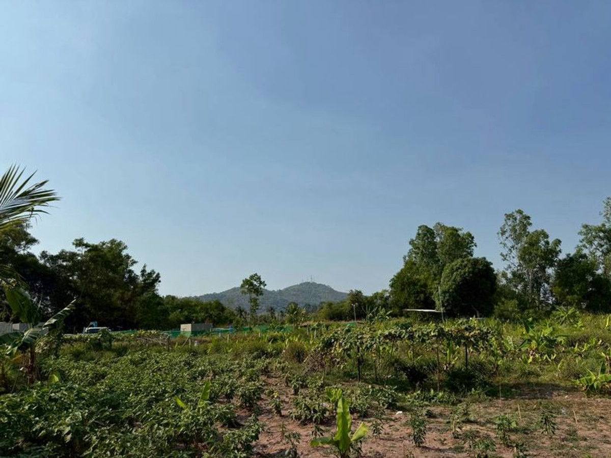 ขายที่ดินศรีราชา แหลมฉบัง บ้านบึง : ขายที่ดิน ศรีราชา นาพร้าว ซอยลุงเทิ้ม ที่ดินสวย 1 ไร่ เหมาะปลูกบ้าน