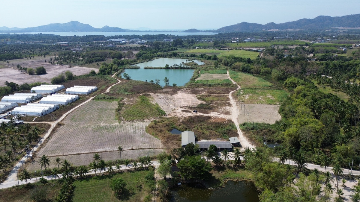 For RentLandSriracha Laem Chabang Ban Bueng : Land 20 rai Khao Khiao Bang Phra Chonburi Province / (For Sale), Land 20 rai Khao Khiao Bang Phra Chonburi Prov / (FOR SALE) YEAN116