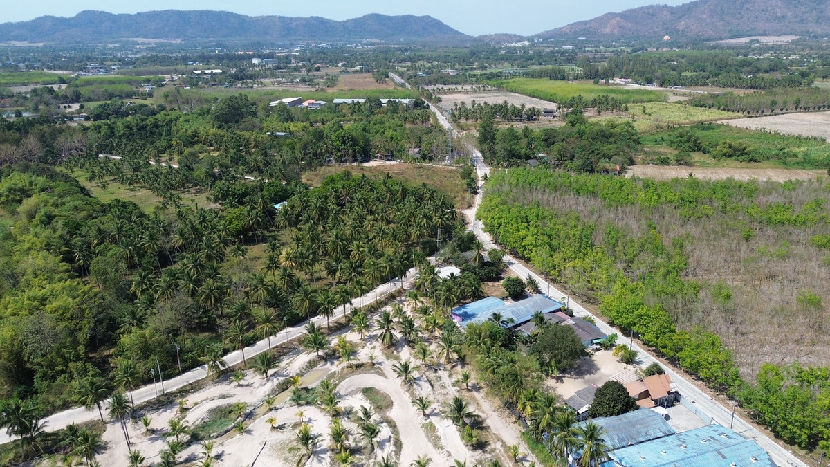 For RentLandSriracha Laem Chabang Ban Bueng : Land 20 rai Khao Khiao Bang Phra Chonburi Province / (For Sale), Land 20 rai Khao Khiao Bang Phra Chonburi Prov / (FOR SALE) YEAN116