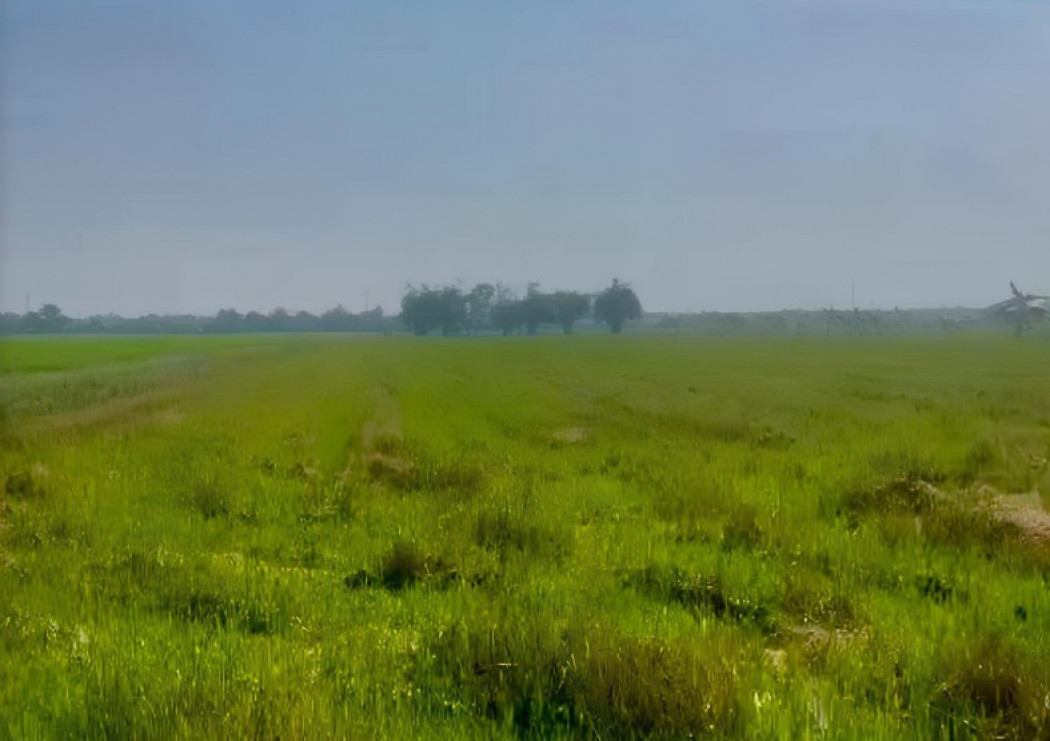 ขายที่ดินมีนบุรี-ร่มเกล้า : ขายที่ดิน 26-2-81 ไร่ ใกล้หมู่บ้านอมรทรัพย์ และมหาวิทยาลัยเทคโนโลยีมหานคร