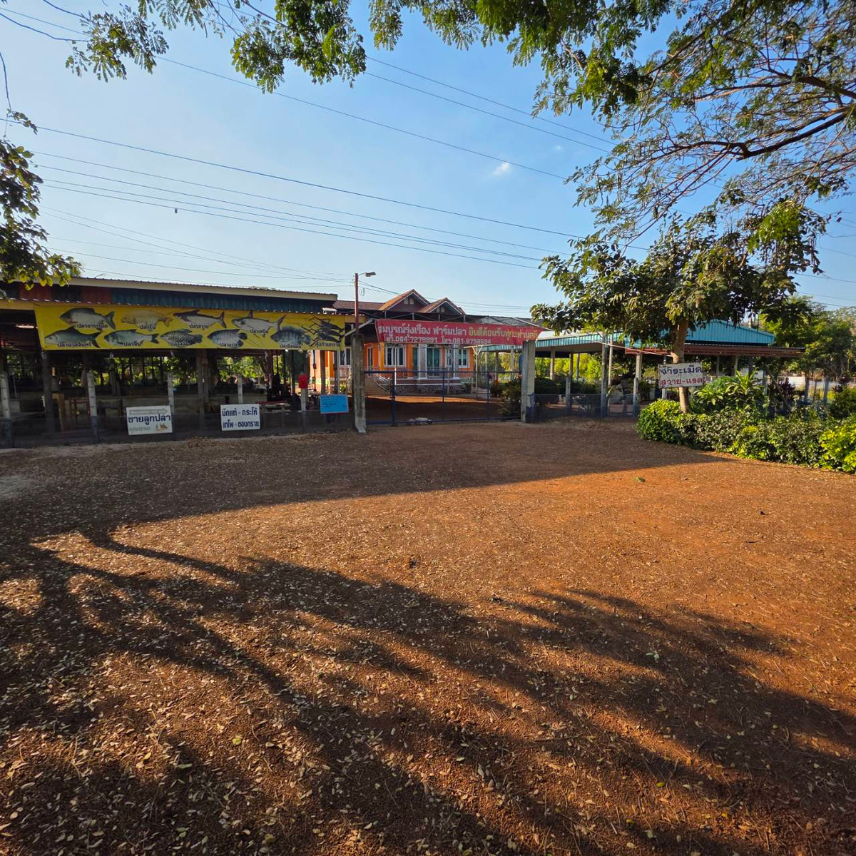 ขายบ้านสกลนคร : บ้านพร้อมที่ดิน เนื้อที่ 1 ไร่ 275 ตารางเมตร