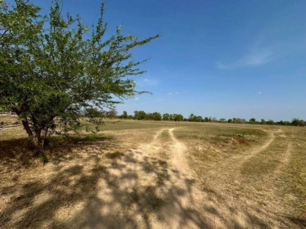 ขายที่ดินขอนแก่น : ขายที่ดินเปล่า พื้นที่ 23-3-19 ไร่ ถนนเจนจบทิศ ( ทางหลวง 2440 เมืองพล-หนองสองห้อง) ตำบลหนองเม็ก อำเภอหนองสองห้อง จังหวัดขอนแก่น ราคาขาย 35,696,256 บาท