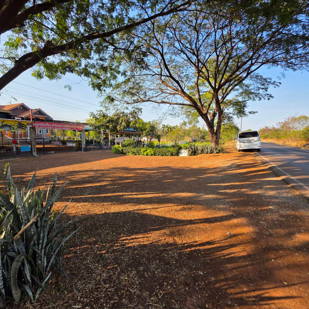 ขายบ้านสกลนคร : บ้านพร้อมที่ดิน เนื้อที่ 1 ไร่ 275 ตารางเมตร