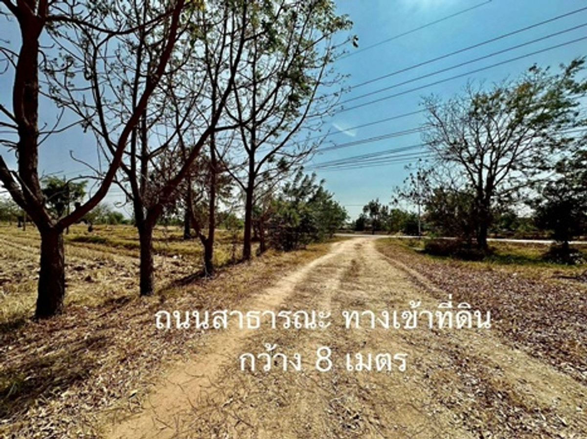 ขายที่ดินขอนแก่น : ขายที่ดินเปล่า พื้นที่ 23-3-19 ไร่ ถนนเจนจบทิศ ( ทางหลวง 2440 เมืองพล-หนองสองห้อง) ตำบลหนองเม็ก อำเภอหนองสองห้อง จังหวัดขอนแก่น ราคาขาย 35,696,256 บาท