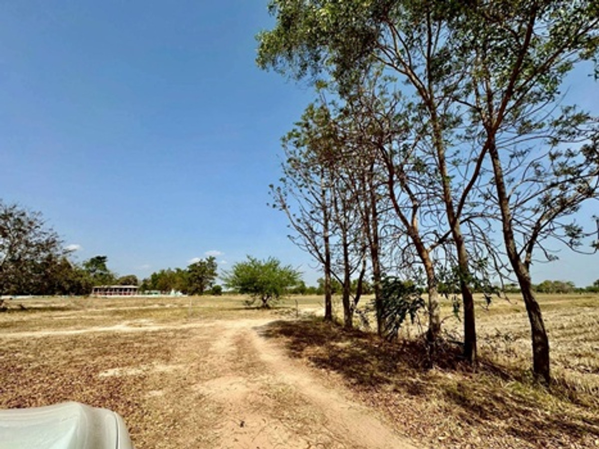 ขายที่ดินขอนแก่น : ขายที่ดินเปล่า พื้นที่ 23-3-19 ไร่ ถนนเจนจบทิศ ( ทางหลวง 2440 เมืองพล-หนองสองห้อง) ตำบลหนองเม็ก อำเภอหนองสองห้อง จังหวัดขอนแก่น ราคาขาย 35,696,256 บาท