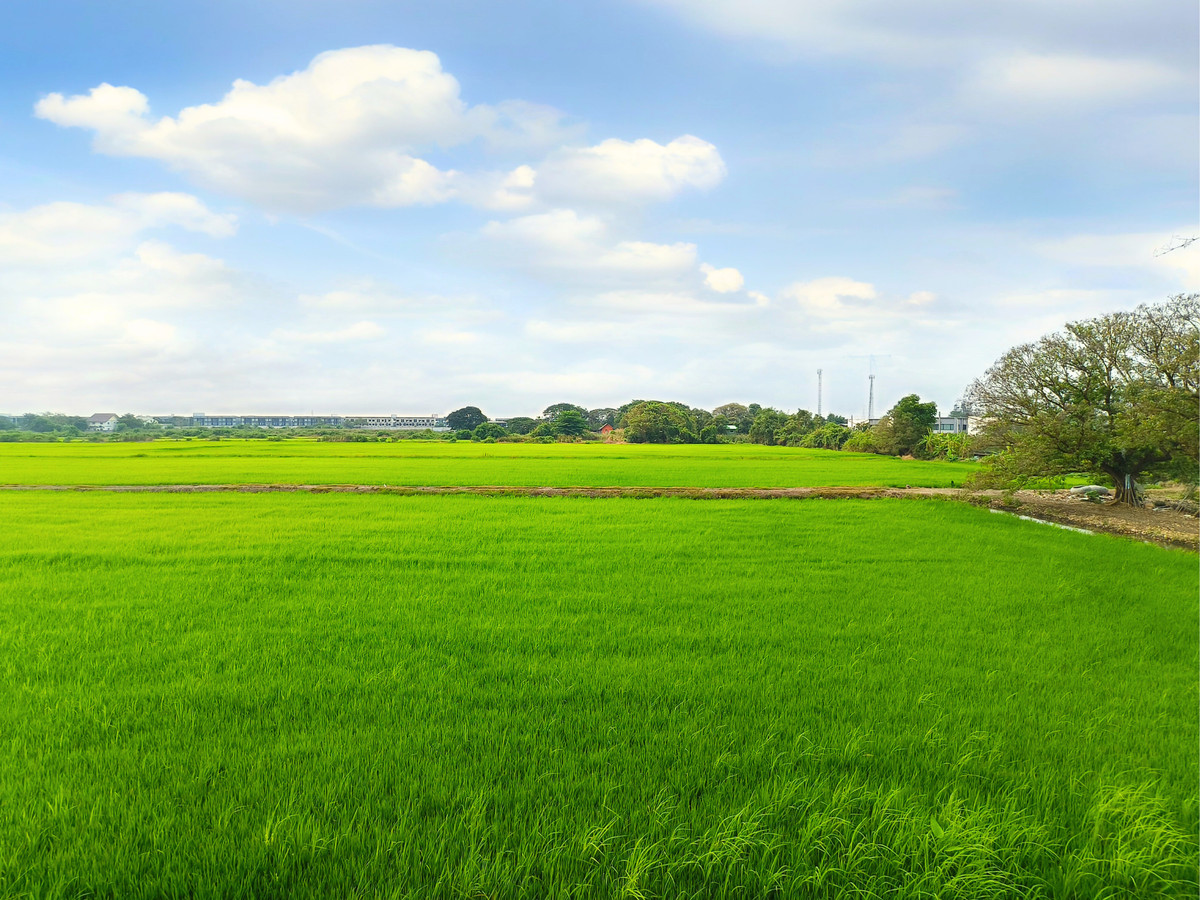 HouseLadkrabang, Suwannaphum Airport : For Sale/Rent: Detached House Home Place The Park Rama9, near the new Krungthep Kreetha Road and Nirvana Porch. 3 bedrooms, 3 bathrooms, 65 sq.wah.