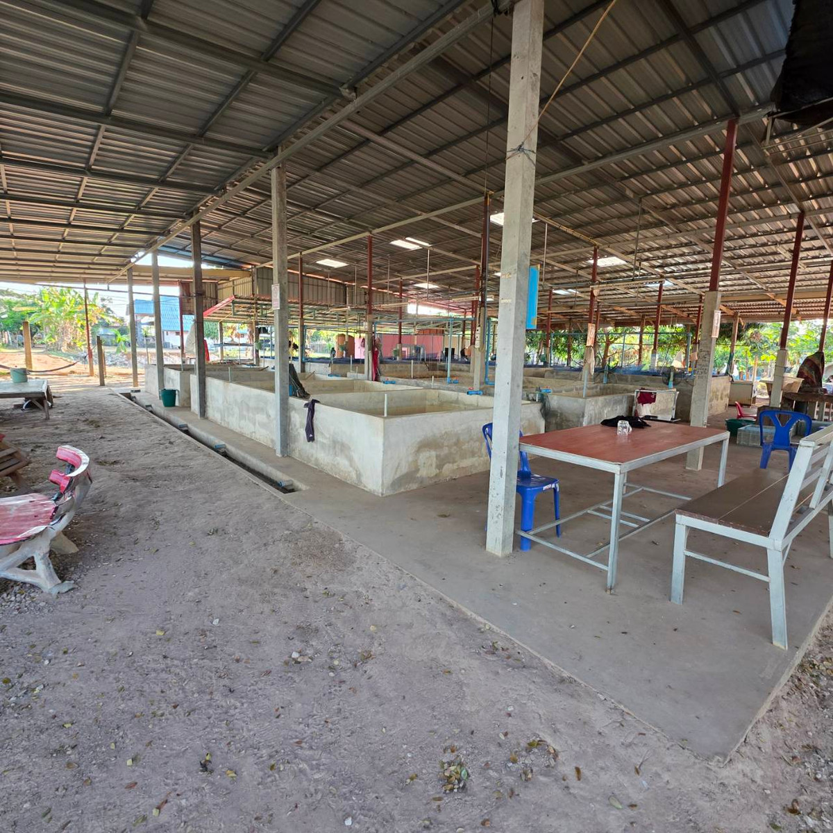 ขายบ้านสกลนคร : บ้านพร้อมที่ดิน เนื้อที่ 1 ไร่ 275 ตารางเมตร