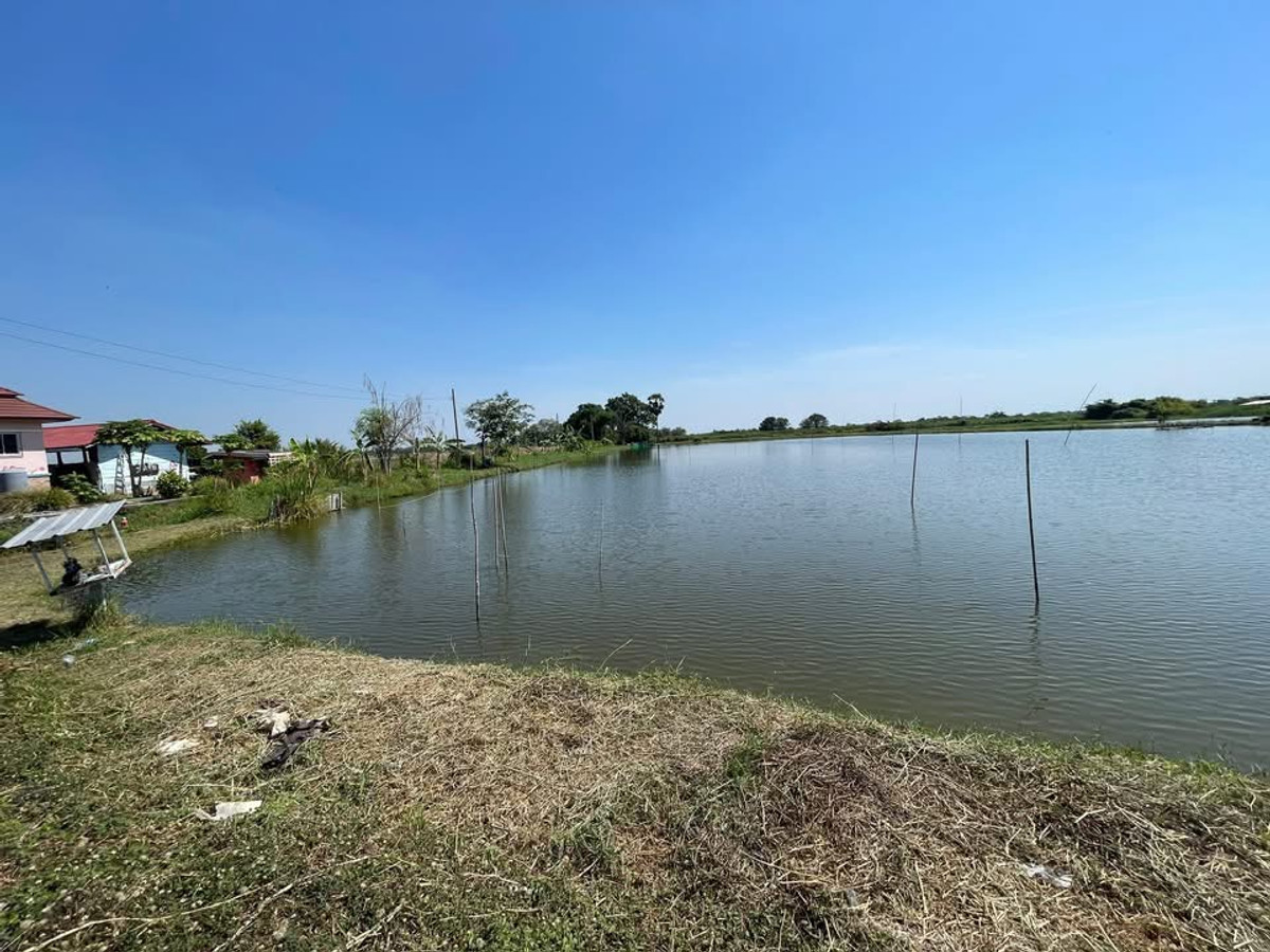 ขายที่ดินสมุทรปราการ สำโรง : ขายที่ดิน บางปลา (คลอง7) สมุทรปราการ  (ต.บางปลา อ.บางพลี สมุทรปราการ)  สนใจติดต่อ 082-3223695