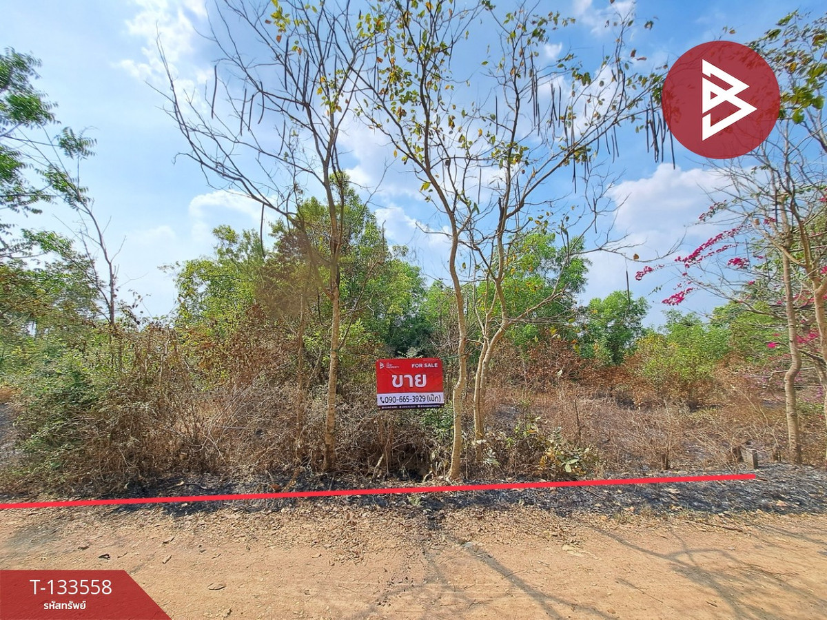 ขายที่ดินฉะเชิงเทรา : ขายที่ดิน เนื้อที่ 1 งาน 43 ตร.วา บางน้ำเปรี้ยว ฉะเชิงเทรา