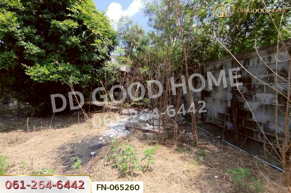 ขายที่ดินสุพรรณบุรี : FN-065260 ที่ดินสามชุก 103.8 ตร.ว. สุพรรณบุรี ใกล้ตลาดสามชุก