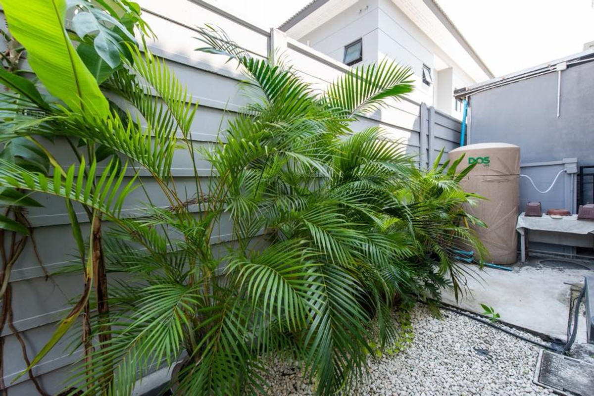 For RentSamut Prakan,Samrong : For rent, 36.2 sq m, 3 bedrooms, 3 bathrooms, 2-story detached house, Grand Pleno Mega Bangna.