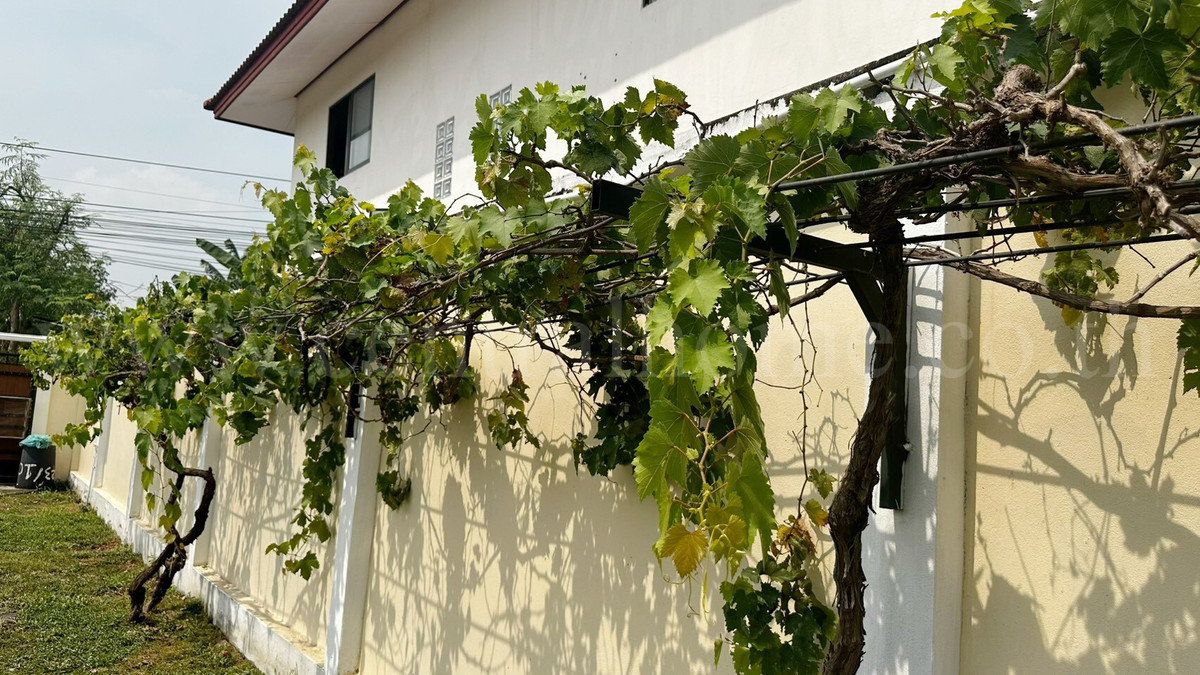 For SaleHousePathum Thani,Rangsit, Thammasat : Single house 300 sq m, Thamsuthee, Pathum Thani, installed solar cells, saves electricity, ready to move in.