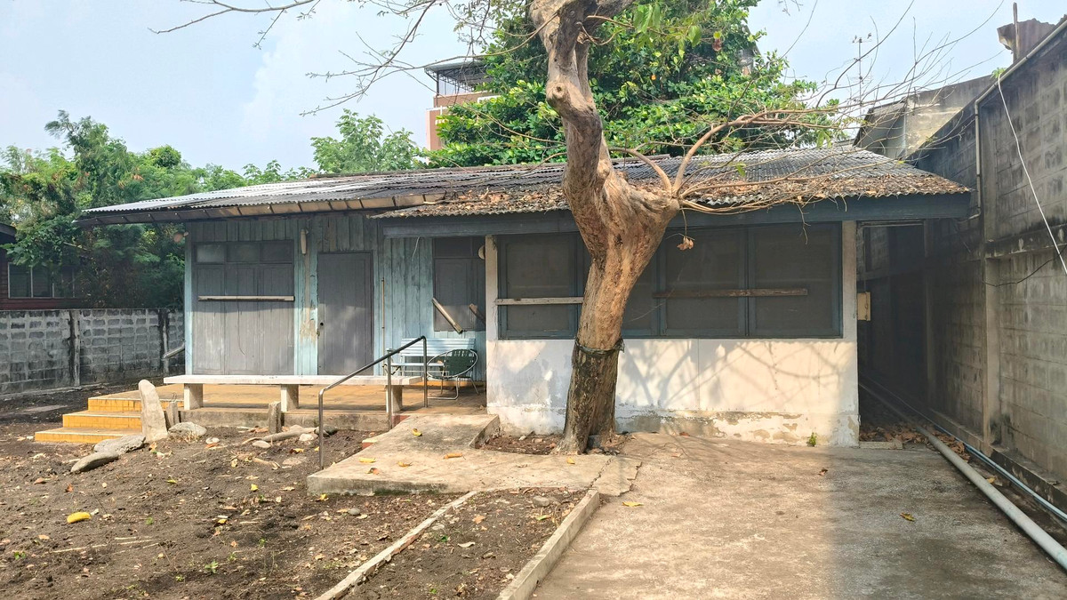 ให้เช่าวงเวียนใหญ่ เจริญนคร : ให้เช่าพื้นที่บ้านและสวน ทำเลวงเวียนใหญ่ ใกล้ไอคอนสยาม
ให้เช่าพื้นที่บ้านพร้อมสวน ขนาดประมาณ 100 ตร.วา