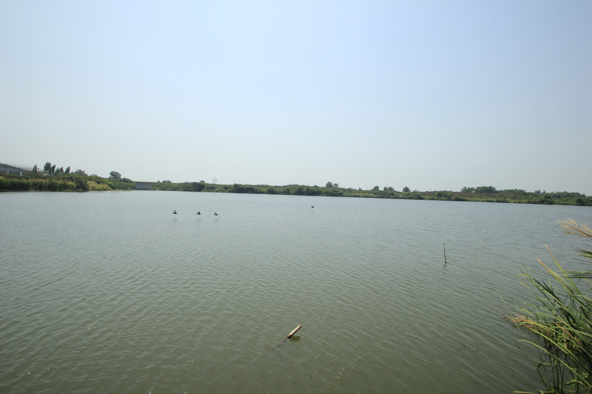 ขายบ้านพระราม 2 บางขุนเทียน : ขายด่วนบ้านเดี่ยวพระราม2 สารินซิตี้ หลังบ้านติดทะเลสาบกว้าง บรรยากาศเป็นส่วนตัวมาก บ้านรุ่นใหญ่ 305.3วา ฮวงจุ้ยบ้านดีรูปที่ดินถุงเงินถุงทอง บ้านกว้างเหมาะครอบครัวใหญ่ พร้อมเรือนรับรอง 2 ชั้นแยกต่างหาก สนามหญ้าหลังบ้านและข้างบ้านเป็นธรรมชาติ