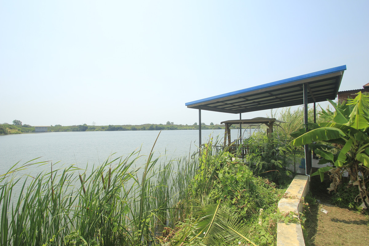 ขายบ้านพระราม 2 บางขุนเทียน : ขายด่วนบ้านเดี่ยวพระราม2 สารินซิตี้ หลังบ้านติดทะเลสาบกว้าง บรรยากาศเป็นส่วนตัวมาก บ้านรุ่นใหญ่ 305.3วา ฮวงจุ้ยบ้านดีรูปที่ดินถุงเงินถุงทอง บ้านกว้างเหมาะครอบครัวใหญ่ พร้อมเรือนรับรอง 2 ชั้นแยกต่างหาก สนามหญ้าหลังบ้านและข้างบ้านเป็นธรรมชาติ