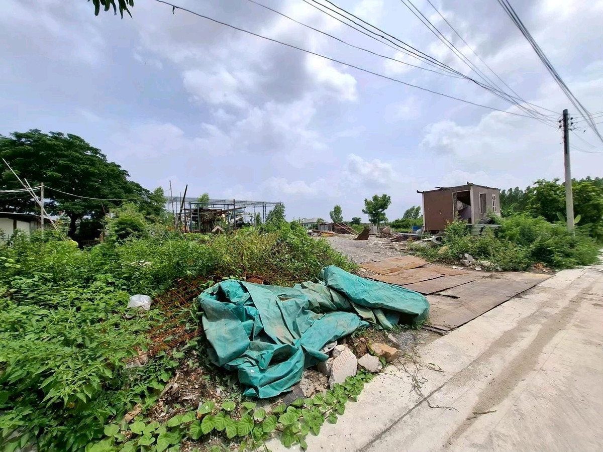 ขายที่ดินปทุมธานี รังสิต ธรรมศาสตร์ : เจ้าของขายเอง​ขอ​ผู้มีทุน