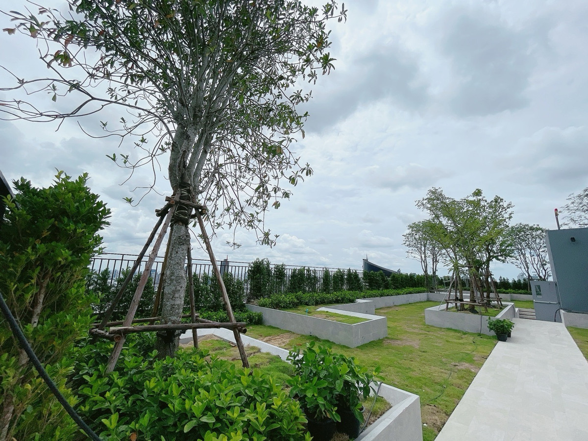 ขายคอนโดพระราม 9 เพชรบุรีตัดใหม่ RCA : 𝐈𝐃𝐄𝐎 𝐑𝐀𝐌𝐀𝟗 𝐀𝐬𝐨𝐤𝐞 ฟรีเงินดาวน์ 𝐎บาท ผ่อนสบายๆ 𝟐𝟓,𝟎𝟎𝟎/เดือน ฟรีทุกค่าใช่จ่าย พร้อมเข้าอยู่ ด่วน 3 ห้องสุดท้าย