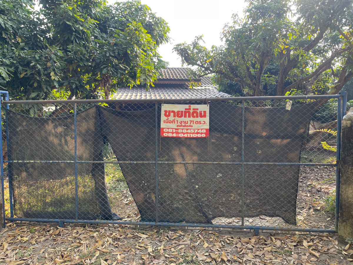 ขายที่ดินเชียงราย : แบ่งขายที่ดิน ต.ยางฮอม อ.ขุนตาล จ.เชียงราย