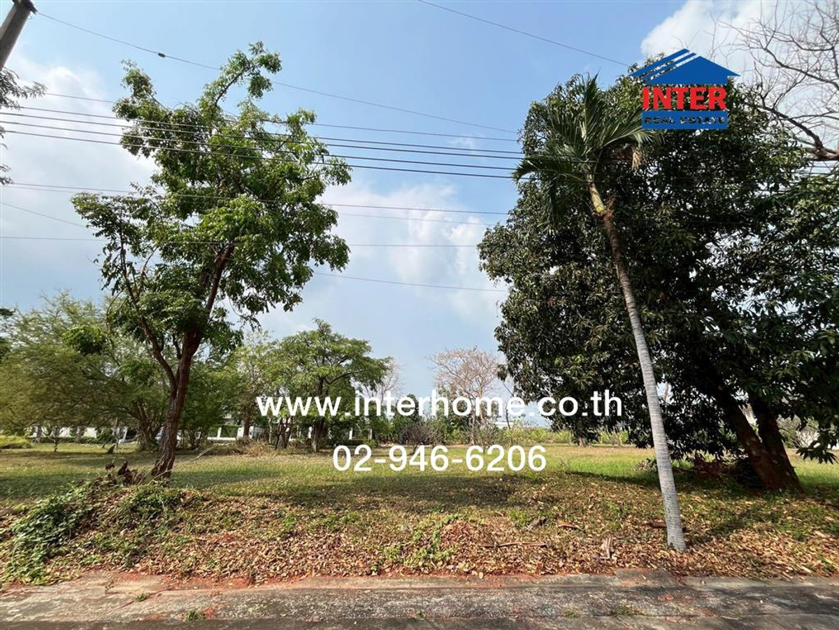 ขายที่ดินปิ่นเกล้า จรัญสนิทวงศ์ : ที่ดินเปล่า 101 ตร.ว. หมู่บ้านเบลเลอวิว ใกล้ตลาดธนบุรี ซอยบรมราชชนนี62/3 ถนนบรมราชชนนี ถนนทวีวัฒนา เขตทวีวัฒนา กรุงเทพมหานคร