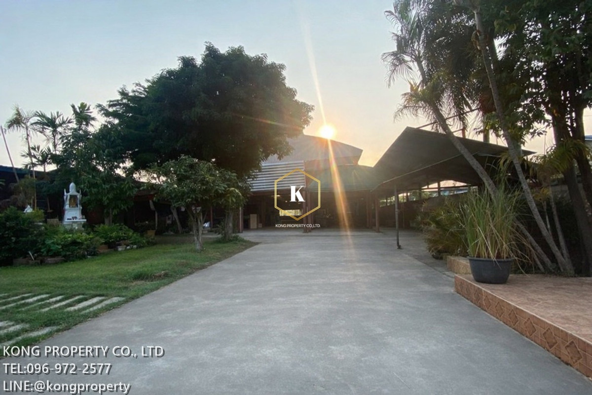 ให้เช่าโกดังปทุมธานี รังสิต ธรรมศาสตร์ : ให้เช่าโกดัง รังสิต คลองหก คลองหลวง ปทุมธานี พื้นที 1 ไร่ มีห้องพักคนงาน