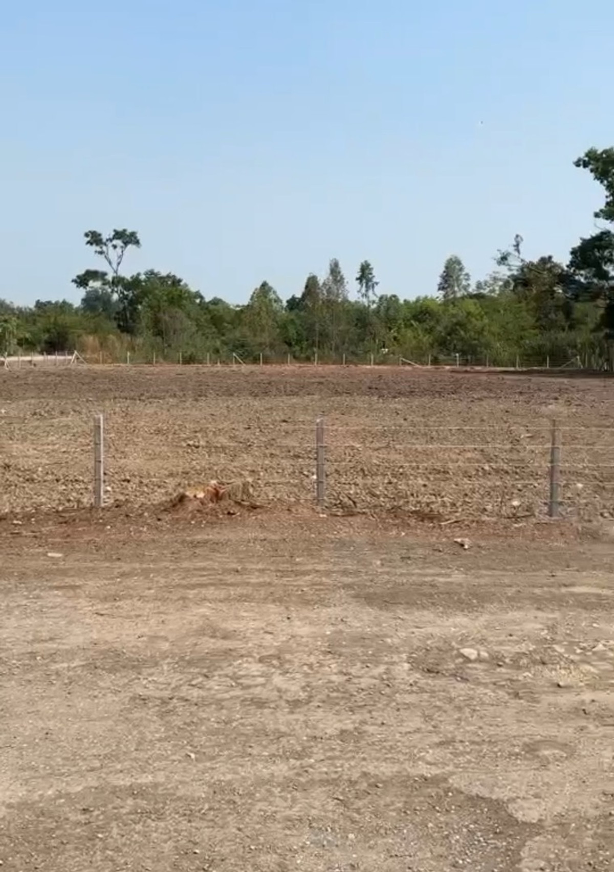 ขายที่ดินปทุมธานี รังสิต ธรรมศาสตร์ : ขายที่ดินถมเต็ม 2 ไร่ 1 งาน 17 ตรว. อำเภอบางหลวง ปทุมธานี  11,100,000฿