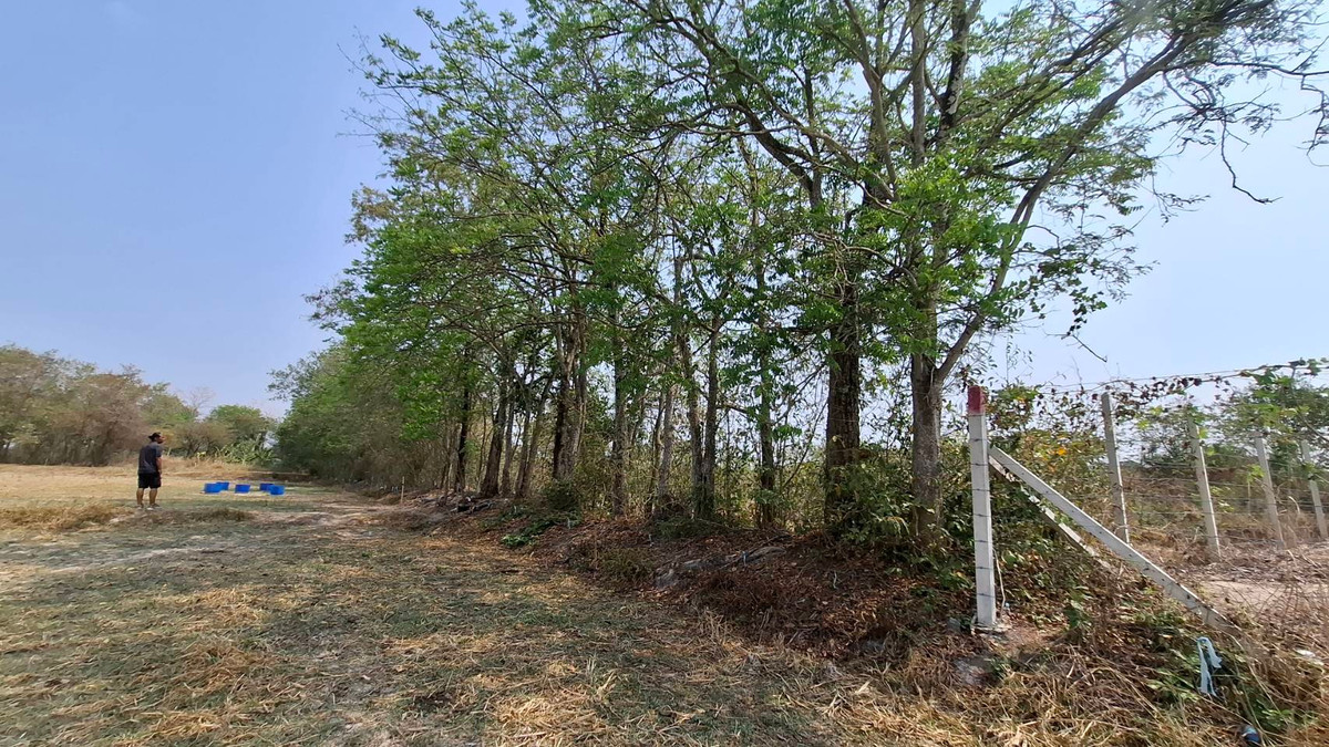 ขายที่ดินนครนายก : ที่ดินถมแล้ว 4 ไร่ 2 งาน บ้านพริก อ.บ้านนา-นครนายก ติดถนนสาธารณะ พร้อมปลูกบ้านได้ทันที